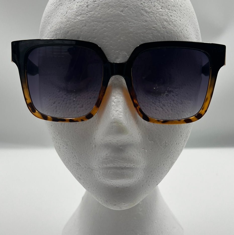 Trina Tortoise Shell Ombré Sunglasses